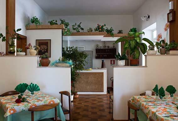Albergo Lido 锡尔维玛丽娜 外观 照片